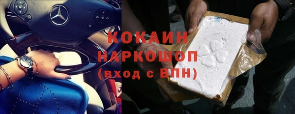 хмурый Арсеньев