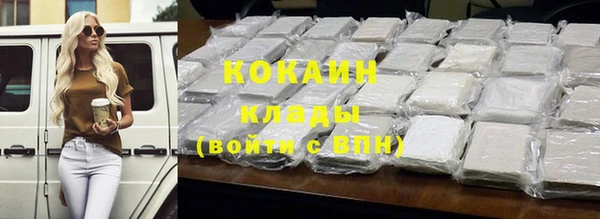 хмурый Арсеньев