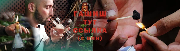 хмурый Арсеньев