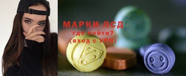 хмурый Арсеньев