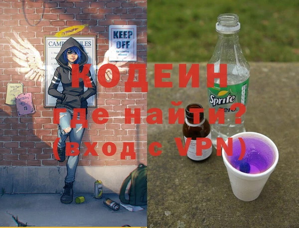хмурый Арсеньев
