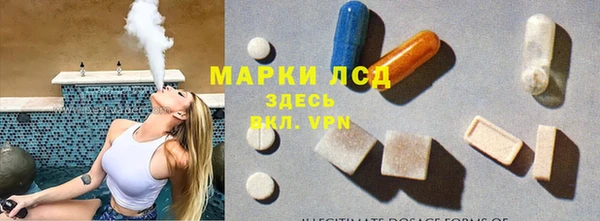 хмурый Арсеньев