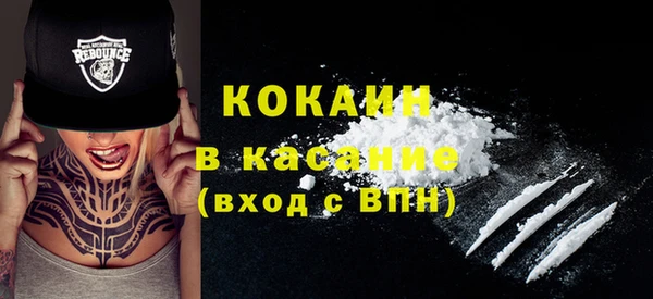 хмурый Арсеньев