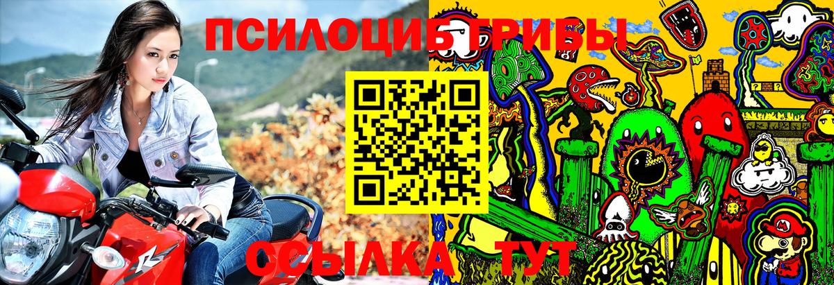 Галлюциногенные грибы Psilocybine cubensis  Вход с VPN  Вольск 